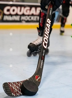 Palo de Hockey Cougar